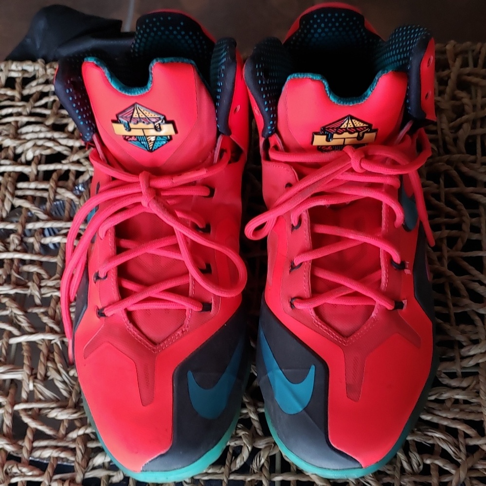 Lebron james nike elite 11